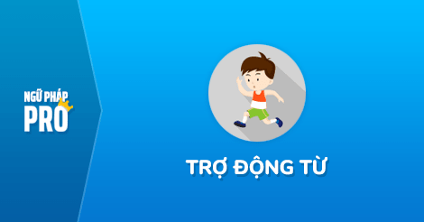Trợ động từ (Auxiliary Verbs) trong tiếng Anh