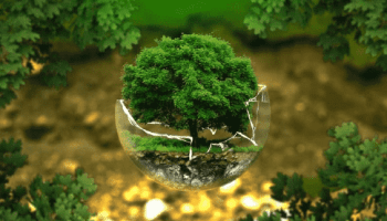 SPEAkING PART 2: TOPIC ENVIRONMENT