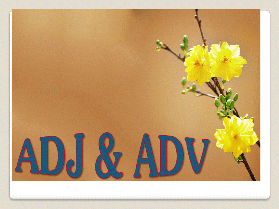 Adjective - Adverbs - Tính từ và trạng từ