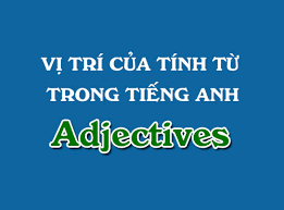 Vị trí của tính từ trong tiếng Anh