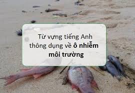 TỪ VỰNG TIẾNG ANH VỀ Ô NHIỄM MÔI TRƯỜNG (PART 2)