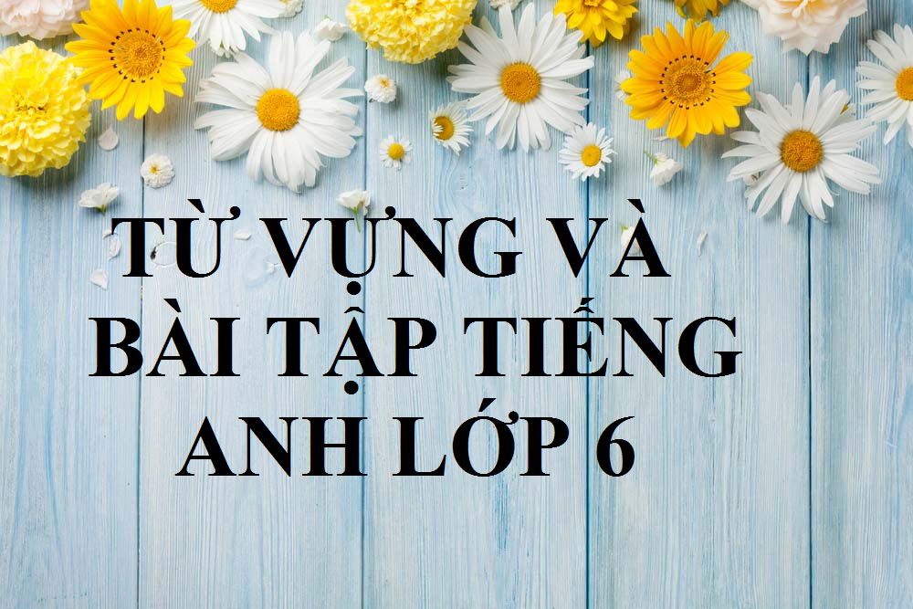 TỪ VỰNG-NGỮ PHÁP- BÀI TẬP VẬN DỤNG CHƯƠNG TRÌNH LỚP 6 THÍ ĐIỂM