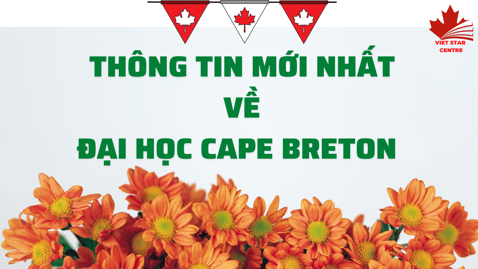 THÔNG TIN MỚI NHẤT VỀ ĐẠI HỌC CAPE BRETON, TỈNH NOVA SCOTIA 2023