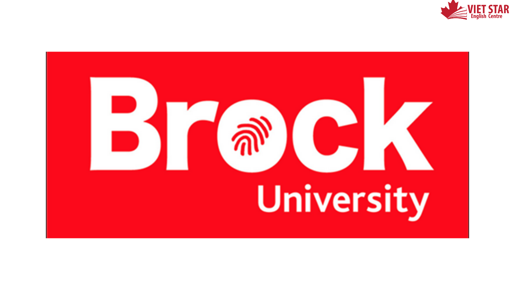 BROCK UNIVERSITY