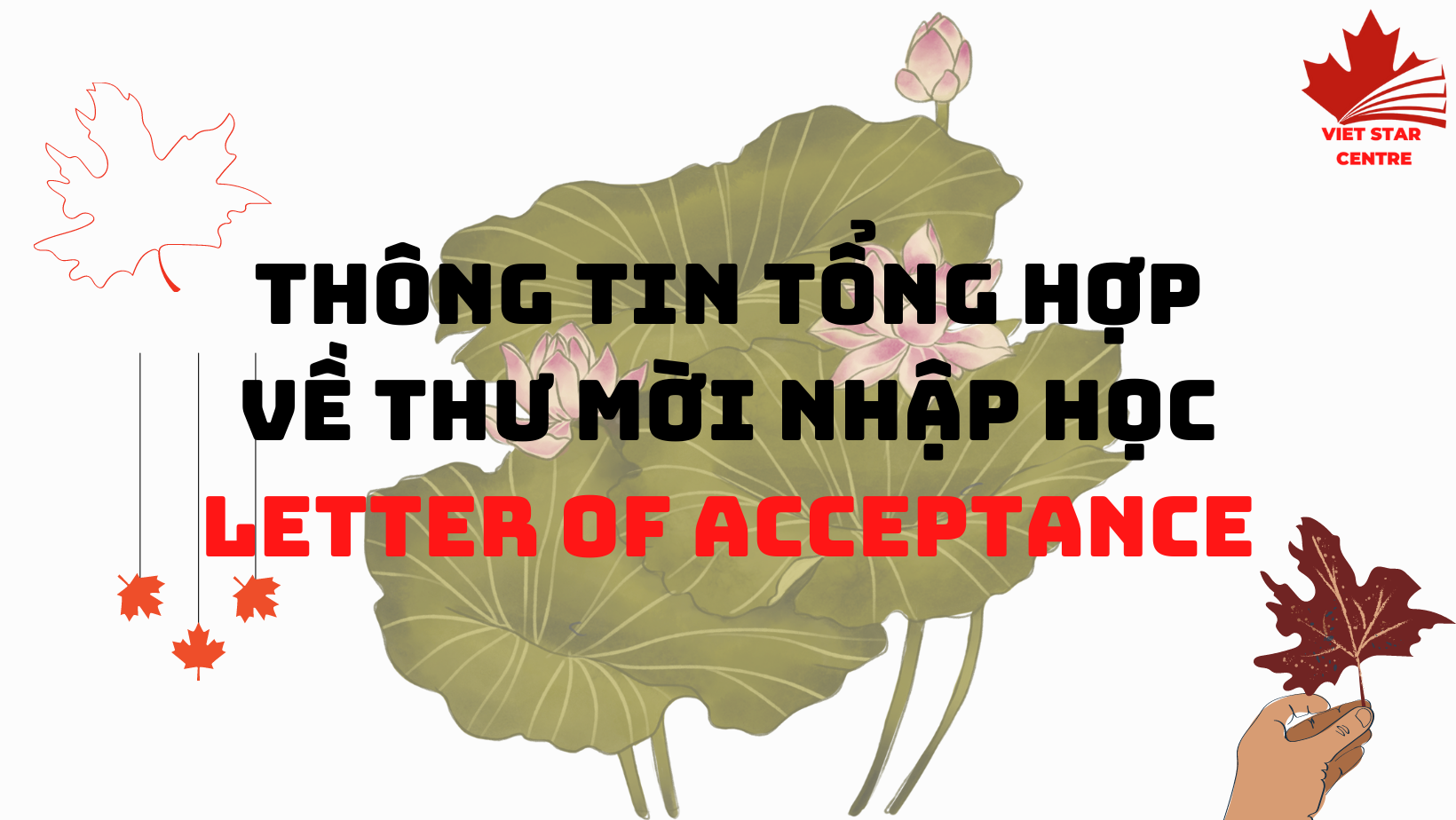 THÔNG TIN TỔNG HỢP VỀ THƯ MỜI NHẬP HỌC LETTER OF ACCEPTANCE