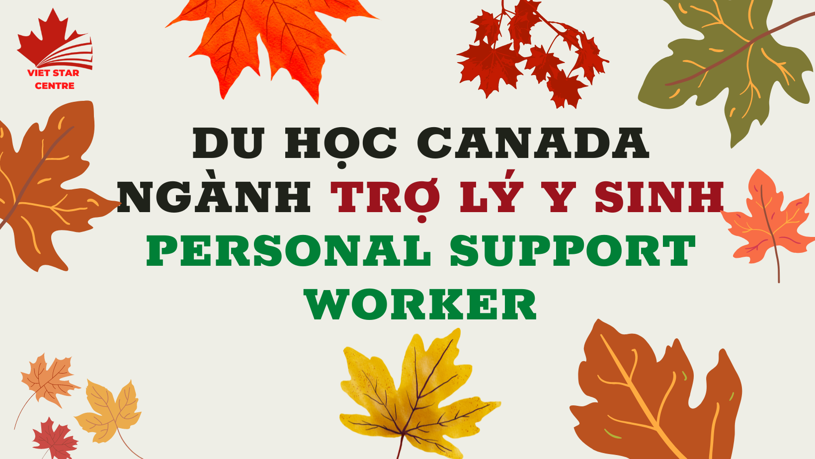 DU HỌC CANADA NGÀNH TRỢ LÝ Y SINH PERSONAL SUPPORT WORKER