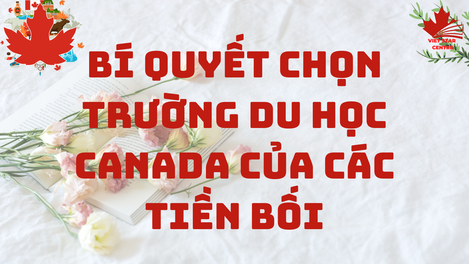 BÍ QUYẾT CHỌN TRƯỜNG DU HỌC CANADA CỦA CÁC TIỀN BỐI