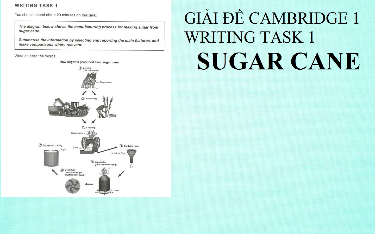 IELTS CAMBRIDGE 16 Writing Task 1: Sugar Cane