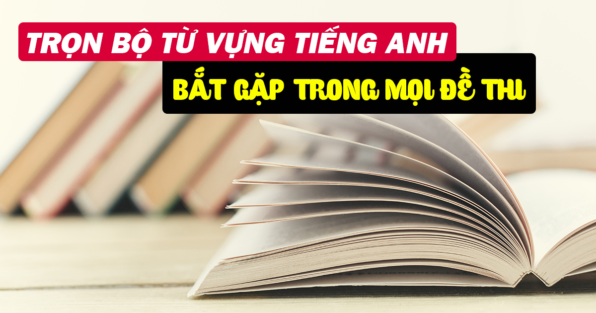 101 từ vựng thường gặp trong đề thi IELTS Reading
