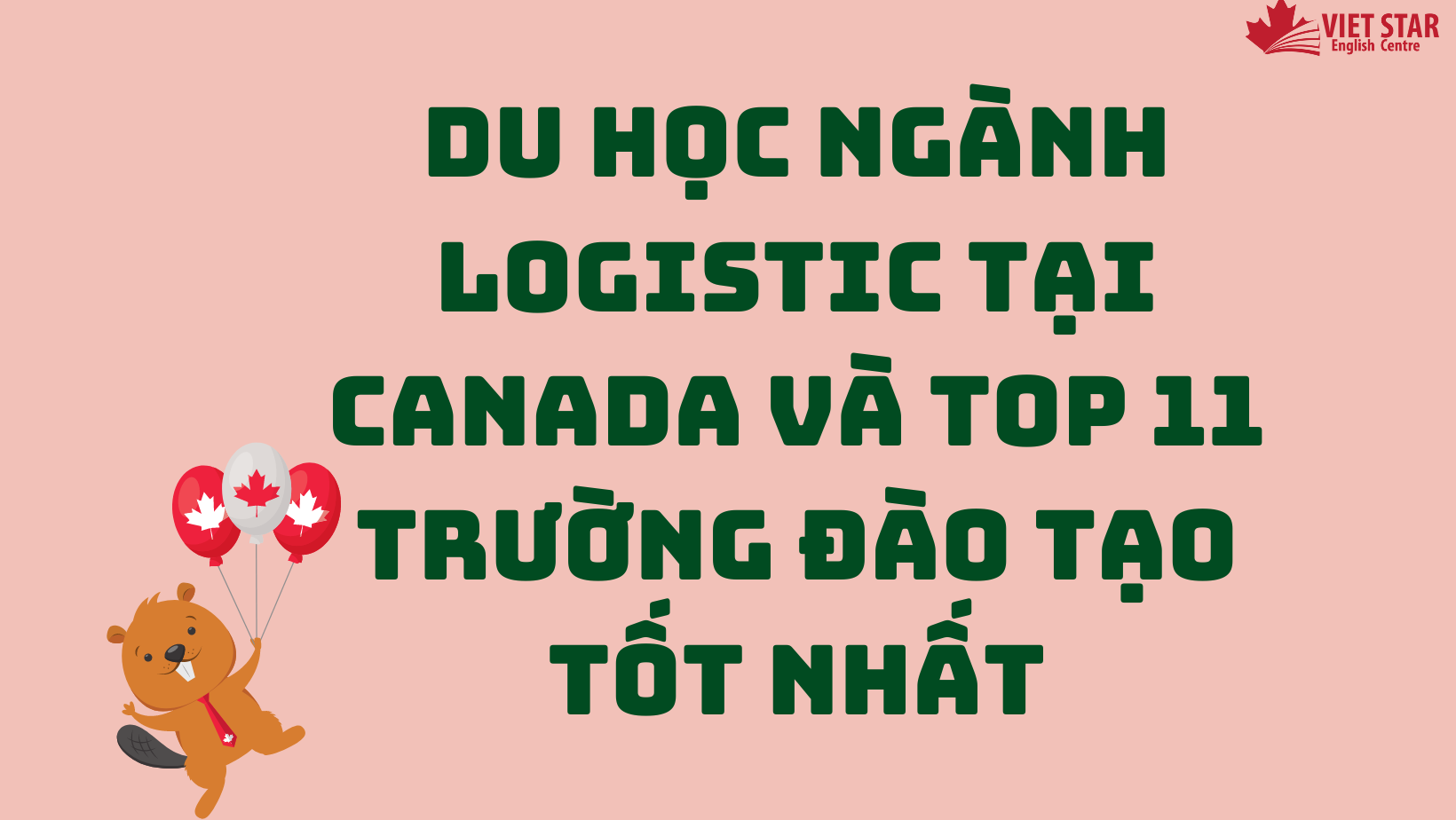 DU HỌC NGÀNH LOGISTIC TẠI CANADA VÀ TOP 11 TRƯỜNG ĐÀO TẠO TỐT NHẤT