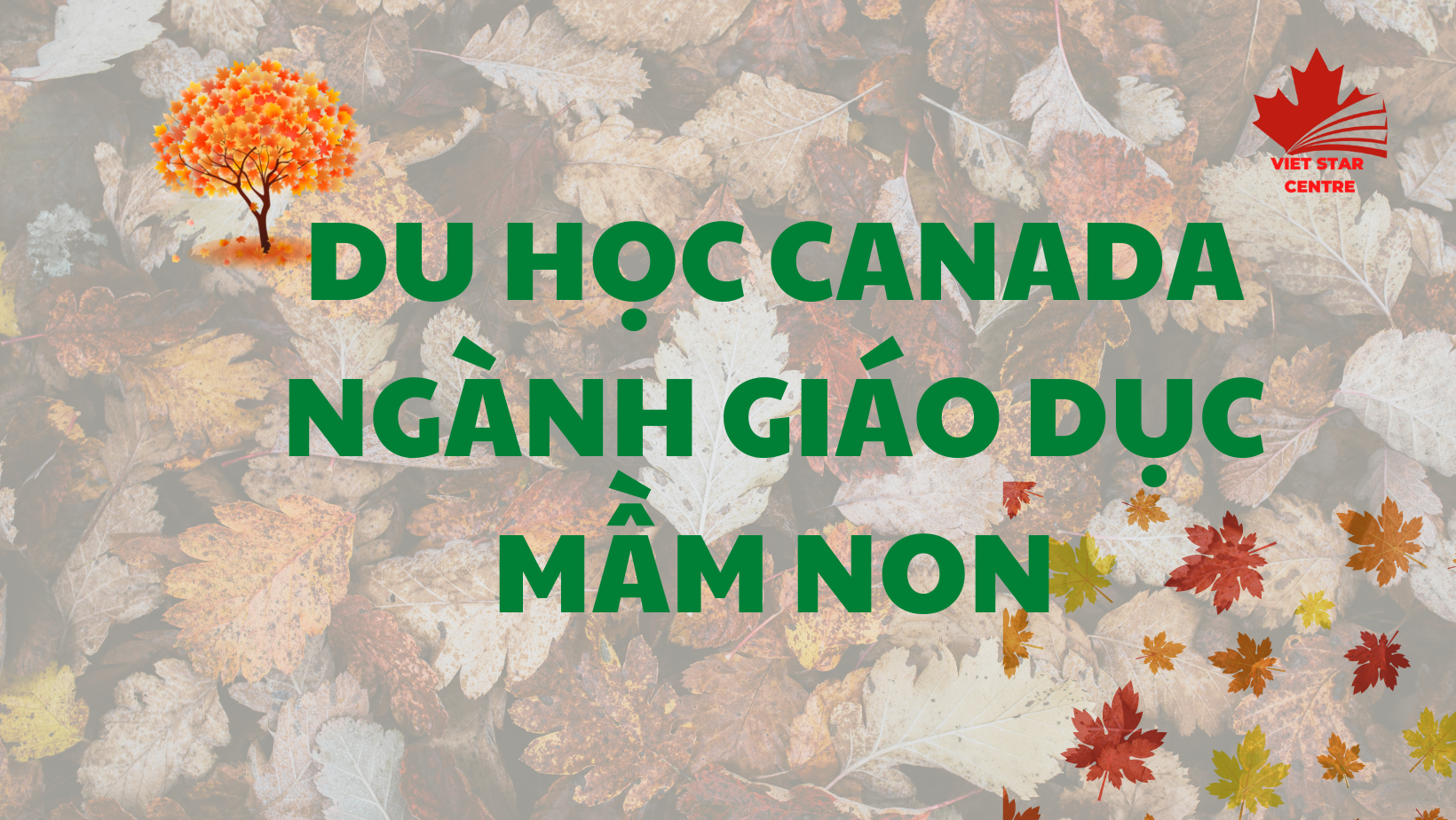 DU HỌC CANADA NGÀNH GIÁO DỤC MẦM NON: CƠ HỘI ĐỊNH CƯ CAO!