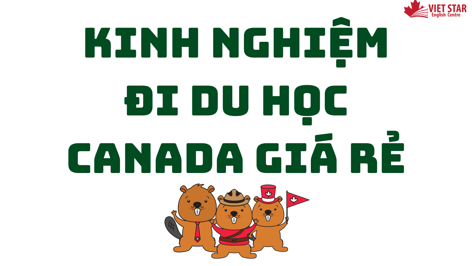 KINH NGHIỆM ĐI DU HỌC CANADA GIÁ RẺ