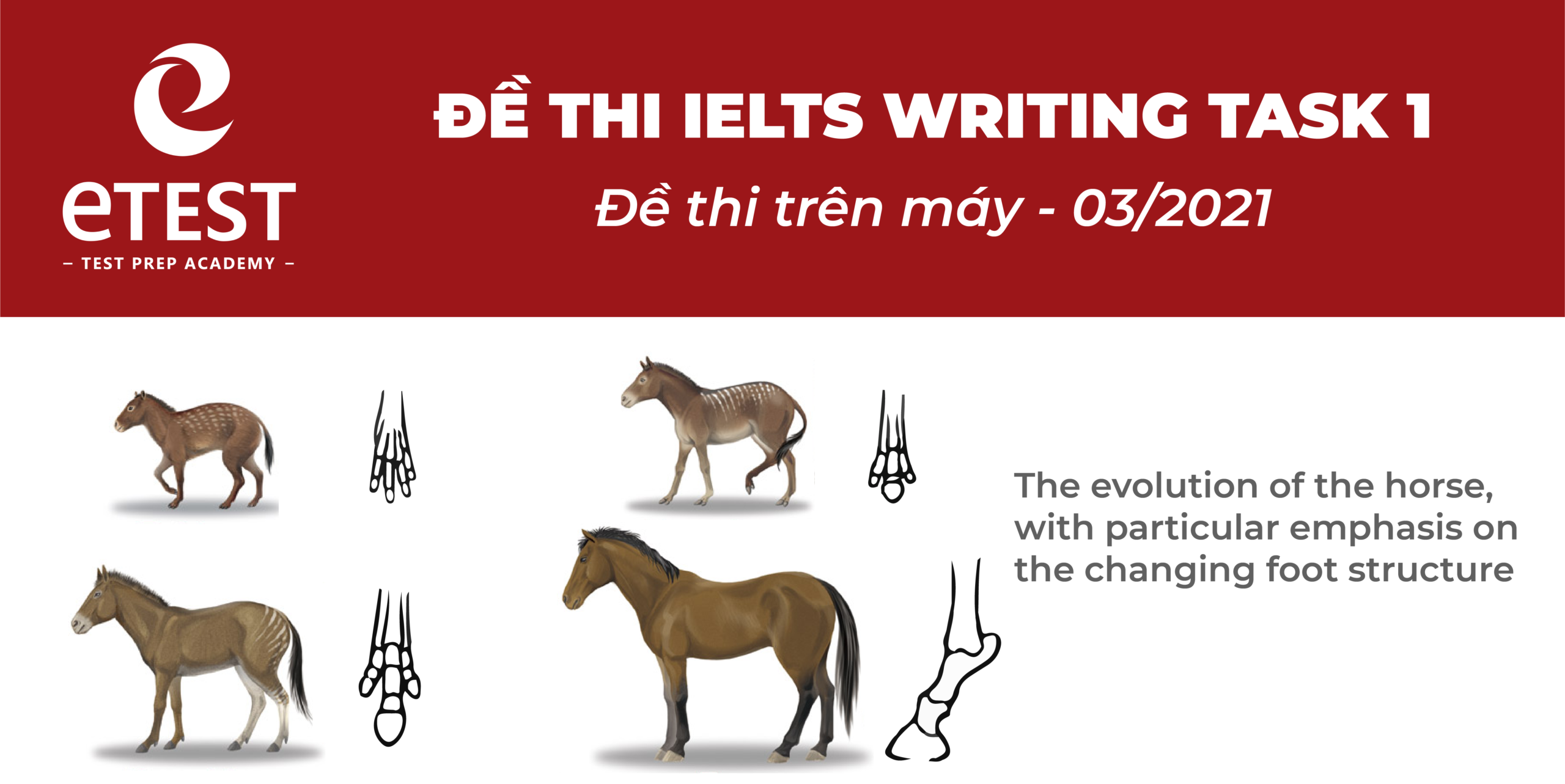 Bài mẫu IELTS Writing Task 1 trên máy tháng 03/2021