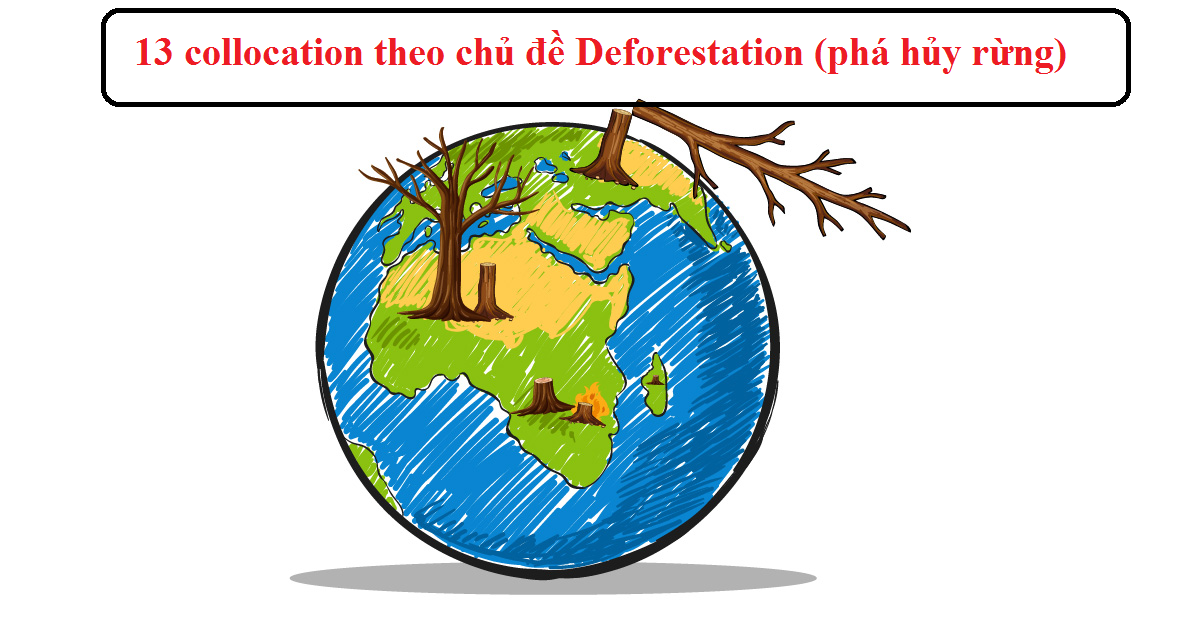 13 collocation theo chủ đề Deforestation (phá hủy rừng)