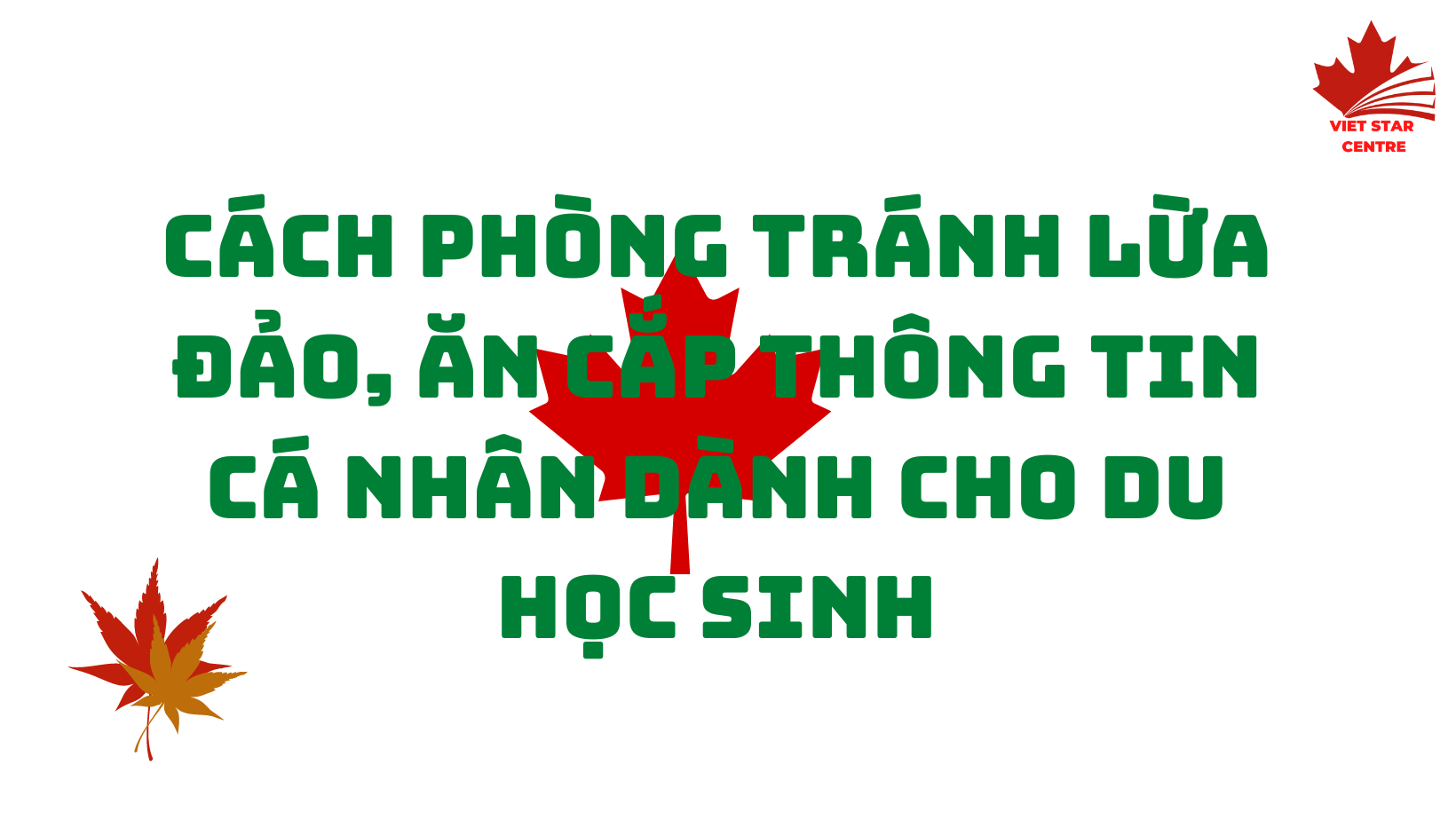 CÁCH PHÒNG TRÁNH LỪA ĐẢO, ĂN CẮP THÔNG TIN CÁ NHÂN DÀNH CHO DU HỌC SINH