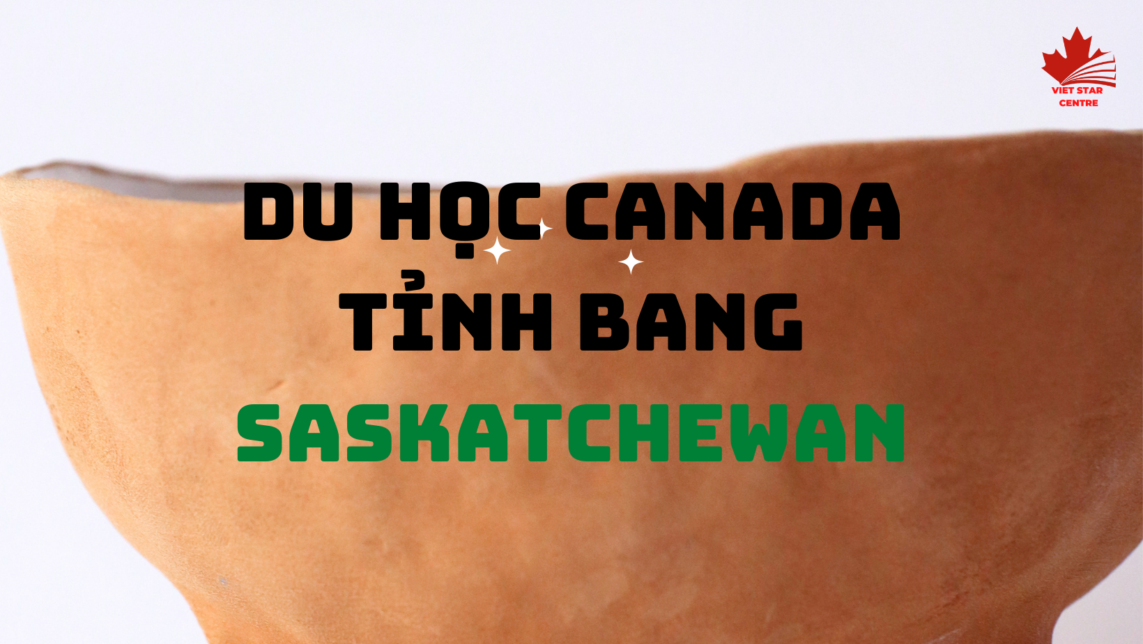 DU HỌC CANADA – TỈNH BANG SASKATCHEWAN