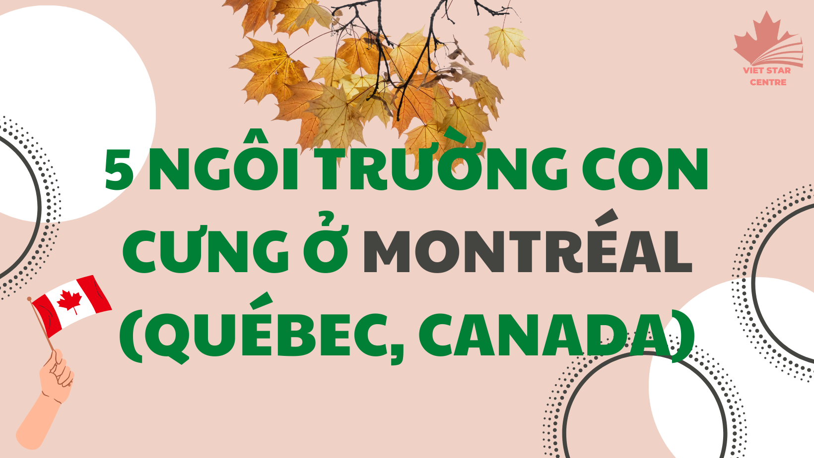 5 NGÔI TRƯỜNG