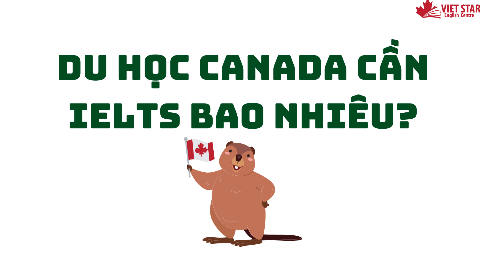 DU HỌC CANADA CẦN IELTS BAO NHIÊU? ĐIỂM YÊU CẦU CỦA TỪNG BẬC
