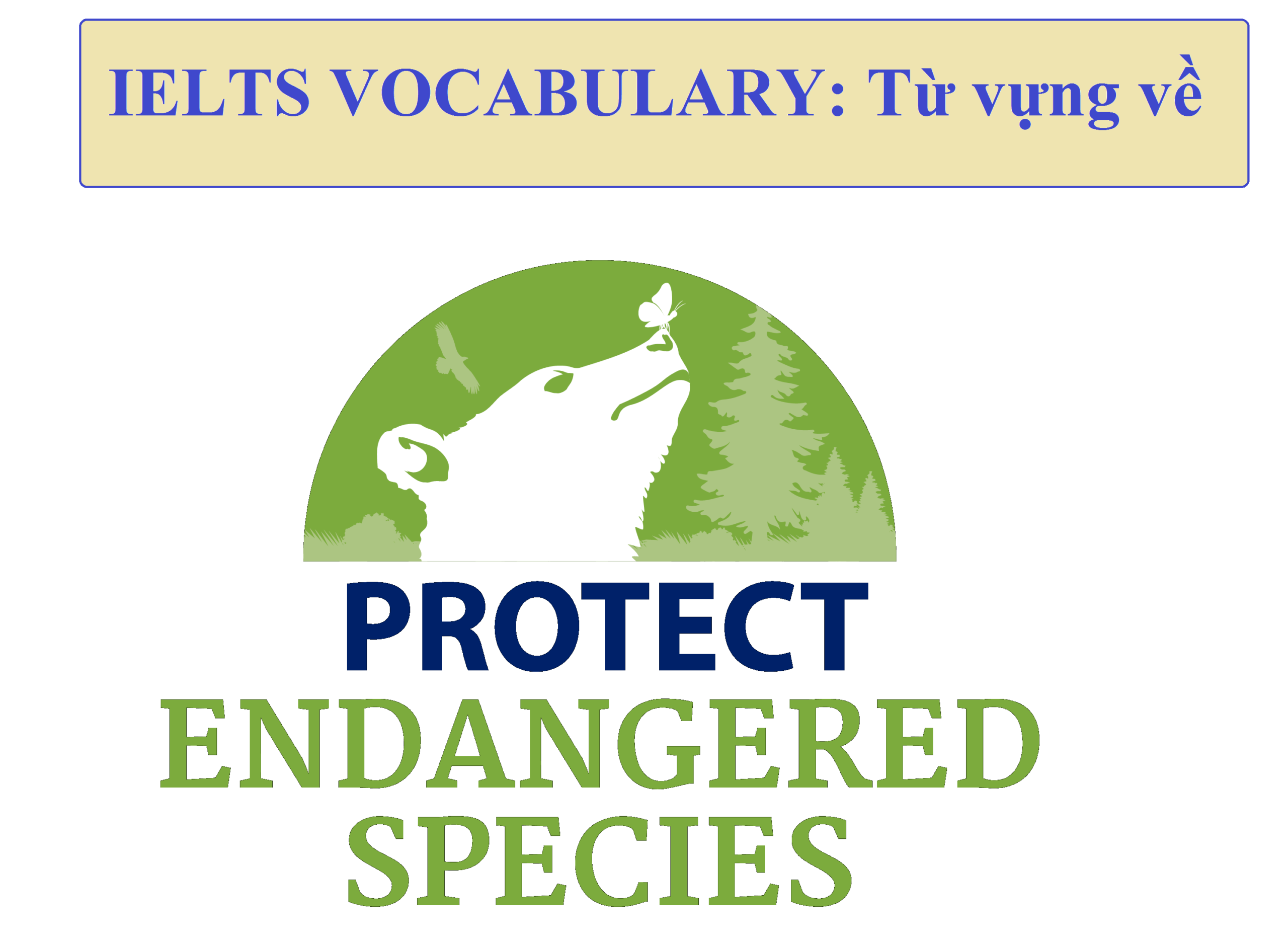 IELTS VOCABULARY: Từ vựng về Protecting Endangered Species