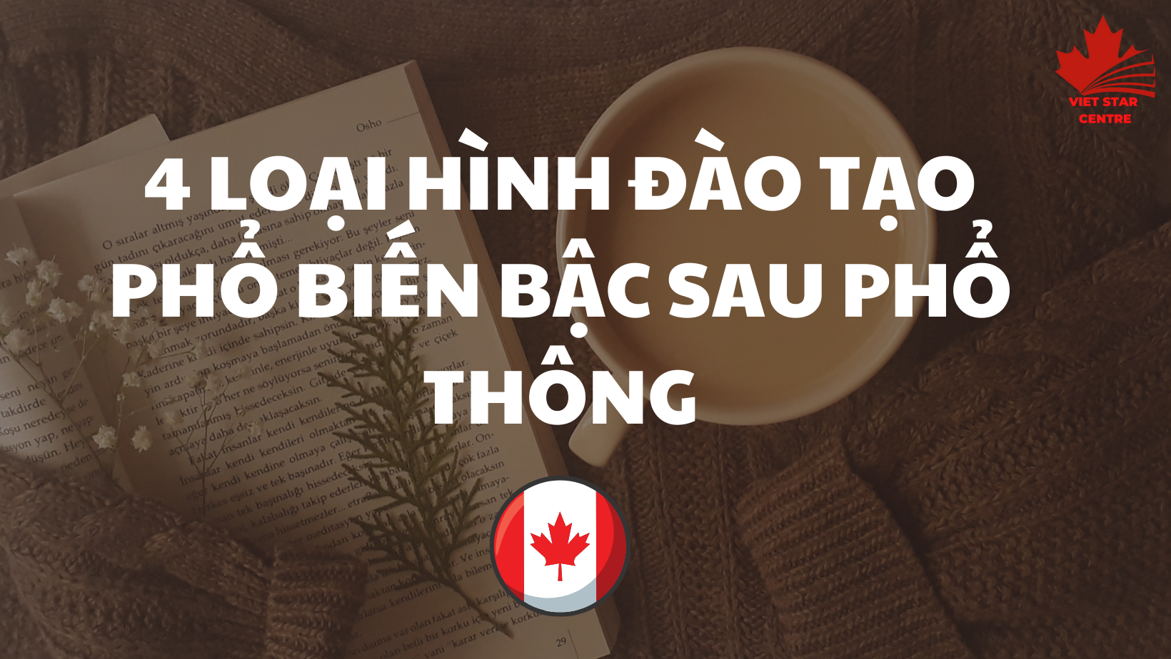 TÌM HIỂU DU HỌC CANADA: 4 LOẠI HÌNH ĐÀO TẠO PHỔ BIẾN BẬC SAU PHỔ THÔNG